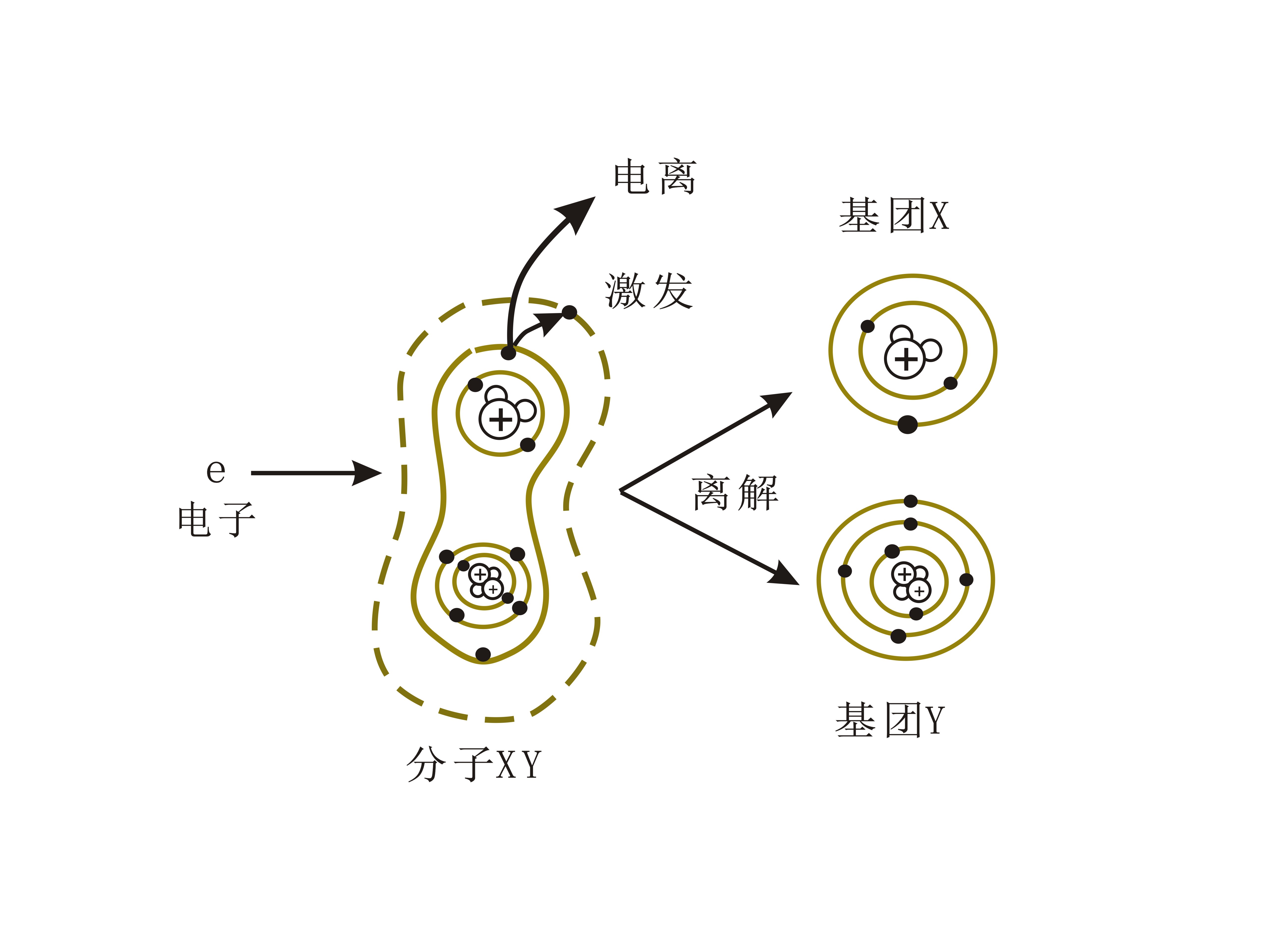 羞羞视频在线播放机的离解